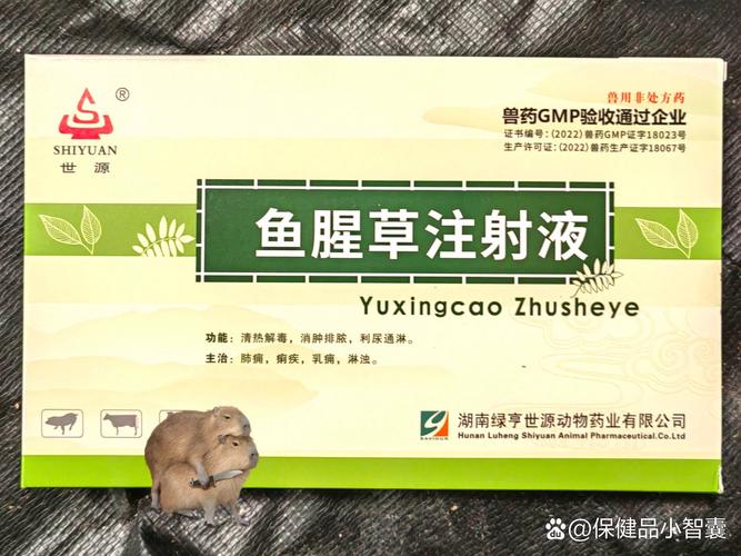 兽药～鱼腥草注射液